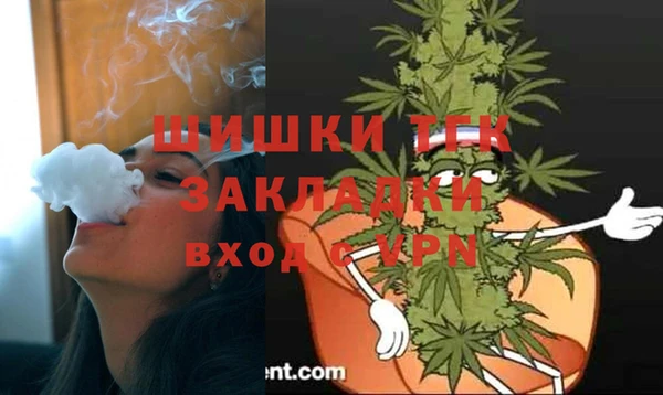 гидра Снежинск